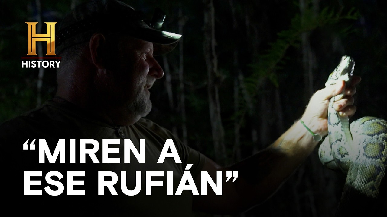 "MIREN A ESE RUFIÁN" - AMOS DEL PANTANO