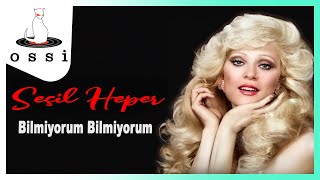 Seçil Heper / Bilmiyorum Bilmiyorum