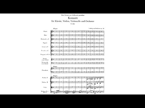 Beethoven - Triple Concerto in C major Op.56 (Badura-Sokda, Maier, Bylsma)