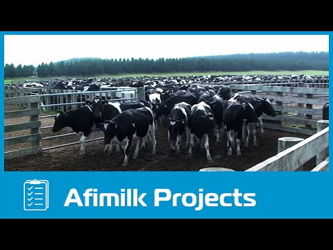 afimilk® - The world's largest dairy farm project in Vietnam
