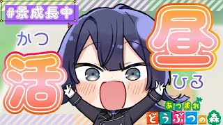 【あつまれどうぶつの森】森時々、遺跡時々、キャンプ時々、ハピパラ島クリ【長尾景/にじさんじ】