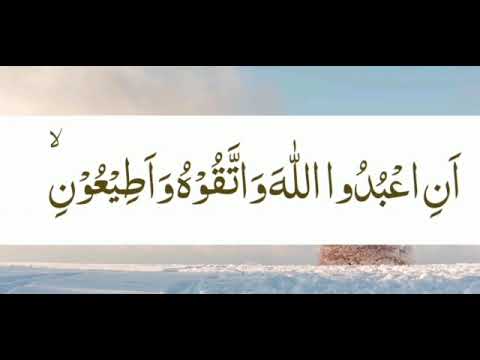 Tahfidz ||Q.S. Nuh ayat 1- 8