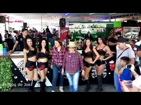 download lagu mp3 mp4 Feria Del Caballo 2018, download lagu Feria Del Caballo 2018 gratis, unduh video klip Feria Del Caballo 2018
