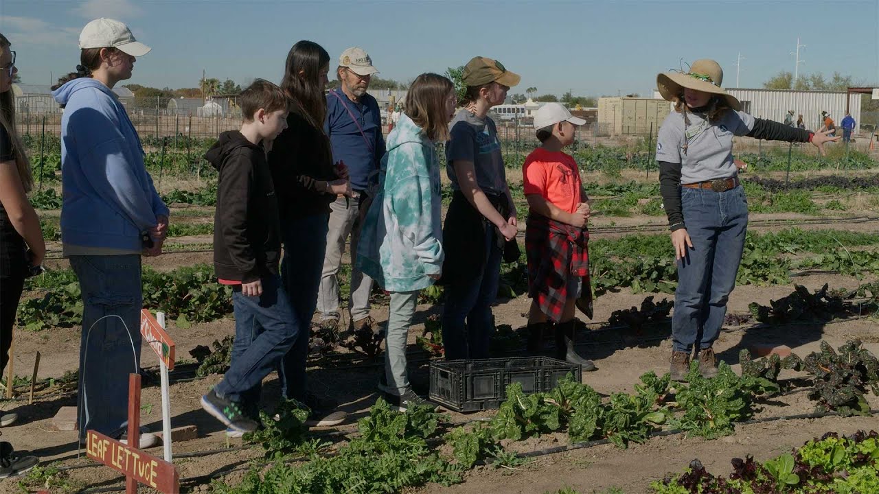 Tucson Village Farm  