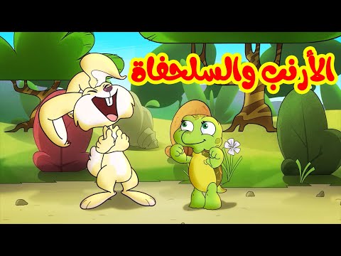 الأرنب والسلحفاة طيور بيبي toyor baby