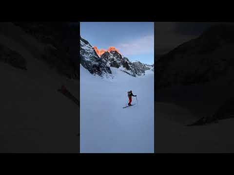 La Testa tra le Stelle