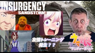 うまぴょいサンドストーム[Insurgency:Sandstorm]