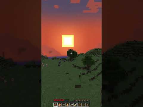 Minecraft moment #minecraft #memes #minecraftmoments #mentvid11 #Xiller