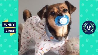 Best Animals Vines Compilation | Funny Vines March 2018 [Part 6]