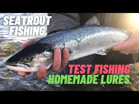 Havørredfiskeri Testfisker Hjemmelavede Gennemløbsblink