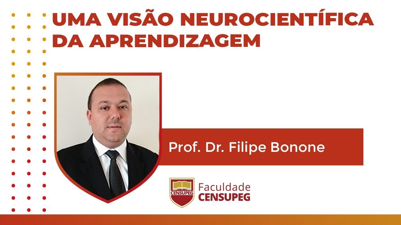 Ana Lucia Hennemann - Neuropsicopedagoga Clínica: Intervenção da