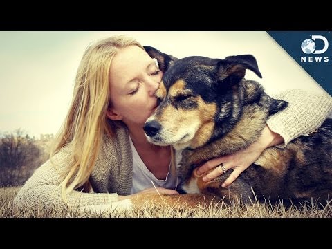 愛狗成癡？！那...狗狗愛我們嗎？Do We Love Dogs As Much As Babies?