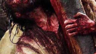 Fearfully and Wonderfully Made