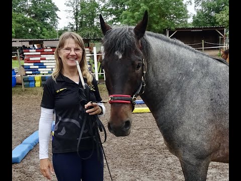 Muscle building: Why does Equikinetic work?