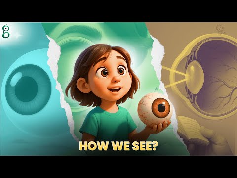 The Human Eye and the Colourful World – Class 10 Science video