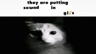 GIFs but with sound 2