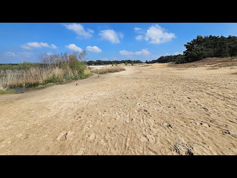 Wanderung Lommelse Sahara - Aussichtsturm Runde - Belgien.