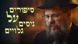 מדהים! הם ראו ישועות פלאיות בכל תחומי החיים (הרב שניאור אשכנזי) - התמונה מוצגת ישירות מתוך אתר האינטרנט יוטיוב. זכויות היוצרים בתמונה שייכות ליוצרה. קישור קרדיט למקור התוכן נמצא בתוך דף הסרטון