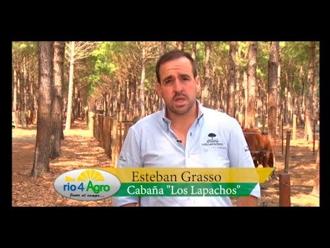 PROGRAMA RIO4AGRO 28 02 BLOQUE 3