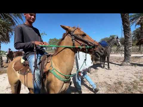 Feira de Cavalos do Bola Monteiropolis - AL 13 - 09 - 2026 #nordeste 