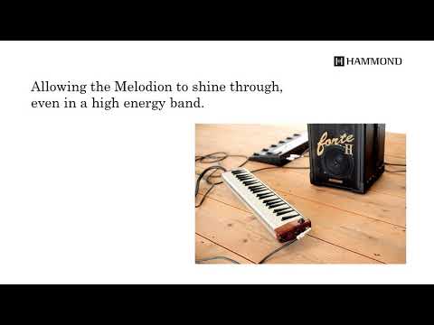 Hammond Pro 44h v2 Melodion image 5