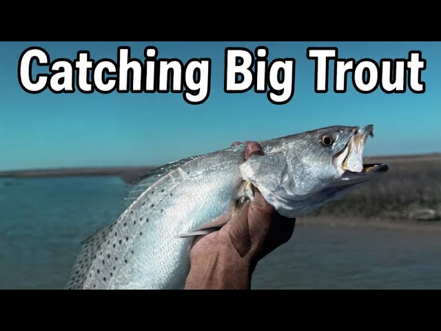 Judge.me YouTube video placeholder