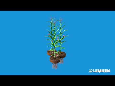 LEMKEN Azurit - Praktikermeinung Teil 2/6 - Warum DeltaRow?