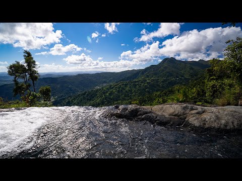 Hiking Alone in El Yunque Rainforest Puerto Rico