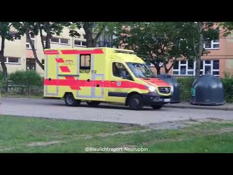 Großeinsatz der Polizei nach Schlägerei in Rheinsberg | Festnahmen nach Körperverletzung