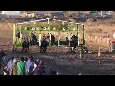 SAO    12°  DIEGOL   9-7-23