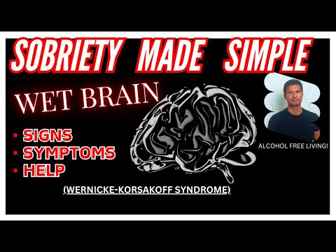 Stop Drinking Alcohol, WET BRAIN (WERNICKE- KORSAKOFF SYNDROME) Sobriety Made Simple