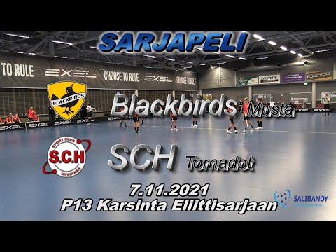 Karsintapeli P13 Eliitti BlackBirds Musta  - SCH Tornadot 7.11.2021 Maalit