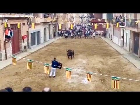 BONITO DETALLE CON ESTETORAZO EN LAS CALLES DE ALFARA DEL  PATRIARCA (Valencia)