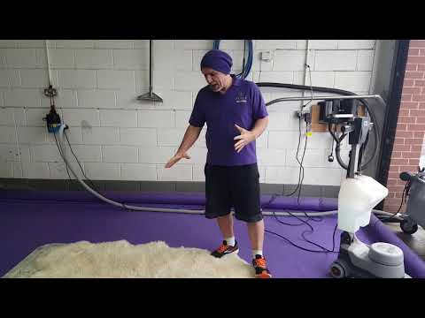 YouTube video about: How to clean sheep skin rug?