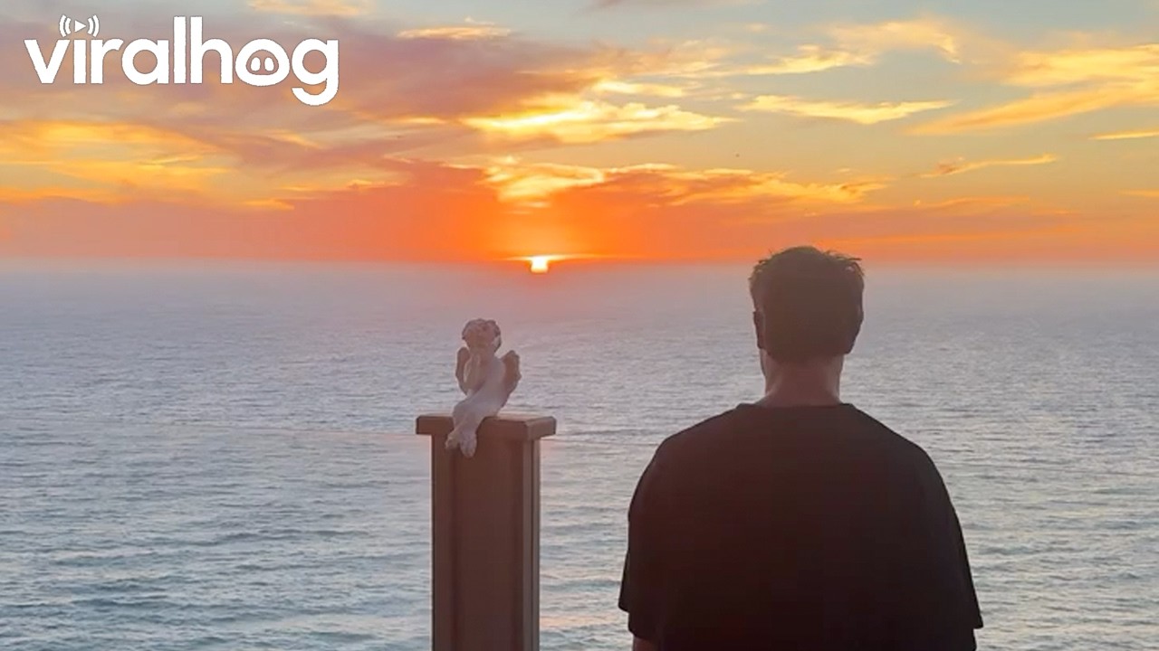 Did I Just Witness a Green Flash? || ViralHog