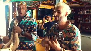 SOLITARIA - ALKILADOS FT CNS