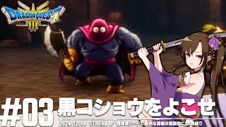 難易度ハードで孤独な勇者は脳筋故に1人旅縛り | ドラゴンクエストIII そして伝説へ…【ネタバレ有】【ドラクエ】【DQ3】【ゲーム実況】【個人Vtuber】#3
