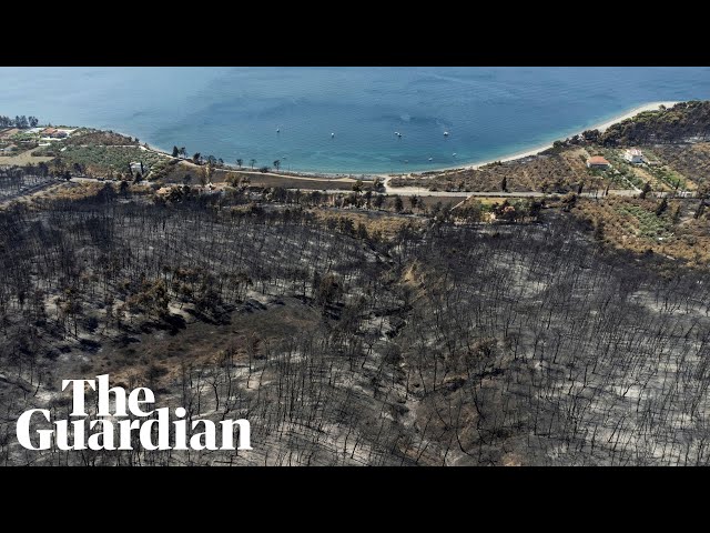 Drone footage shows aftermath of Evia wildfires in Greece