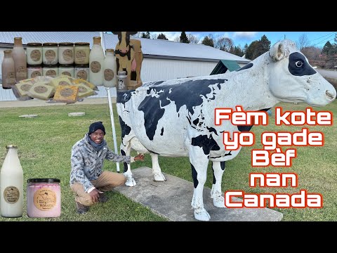 Vin gade tout pwodui yo Transfòme nan yon fèm Canada