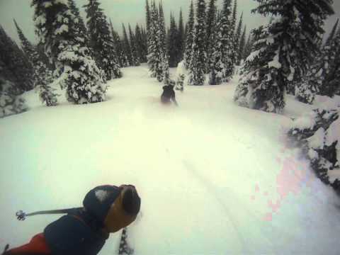 White Grizzly 2011 c