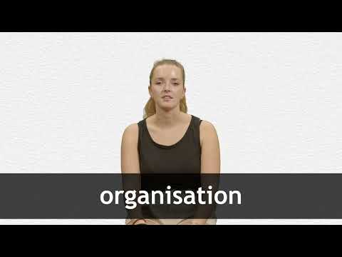 English Translation of “ORGANISATION” | Collins French-English Dictionary