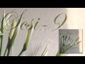 SCSI 9 - Morskaya 'The Line Of Nine' Album ...