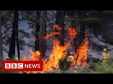 熱浪過後西班牙北部爆發野火 - BBC新聞 (Wildfires breakout in Northern Spain following heatwave - BBC News)