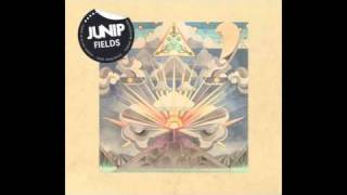 Junip - Don't Let It Pass