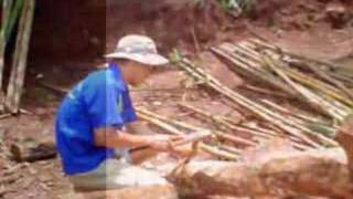 1 so hinh anh dang nho cua DML 2005