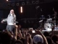 Pitbull BOJANGLES
