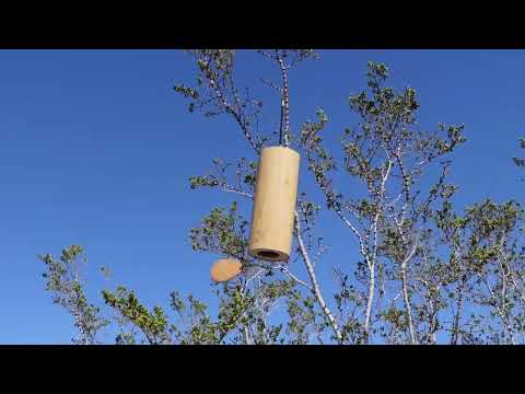 Aria (Air) Koshi Chimes Nature Healing Sounds| Meditation| Sound Bath | Wind ASMR, 432 Hz