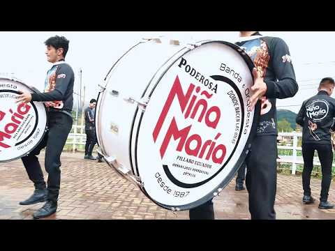 TOMANDO CERVEZA INTERNACIONAL  BANDA Y ORQUESTA (NIÑA MARÍA) 2020