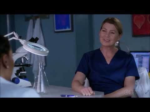 Grey's Anatomy s15e06 - Hummingbird - Nilu