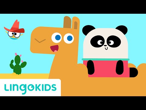 Alice The Camel - Nursery Rhymes & Kids Songs | Lingokids